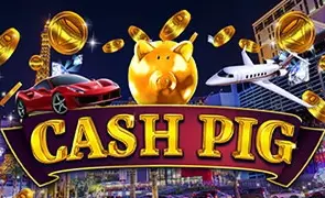 Cash Pig Cash Pig